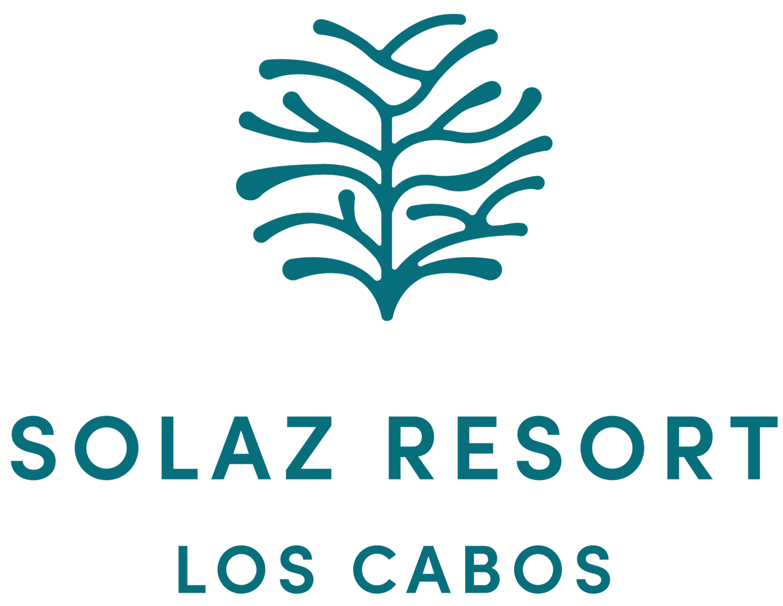 Boda en Solaz, A Luxury Collection Resort — San Jose del Cabo, Baja California Sur