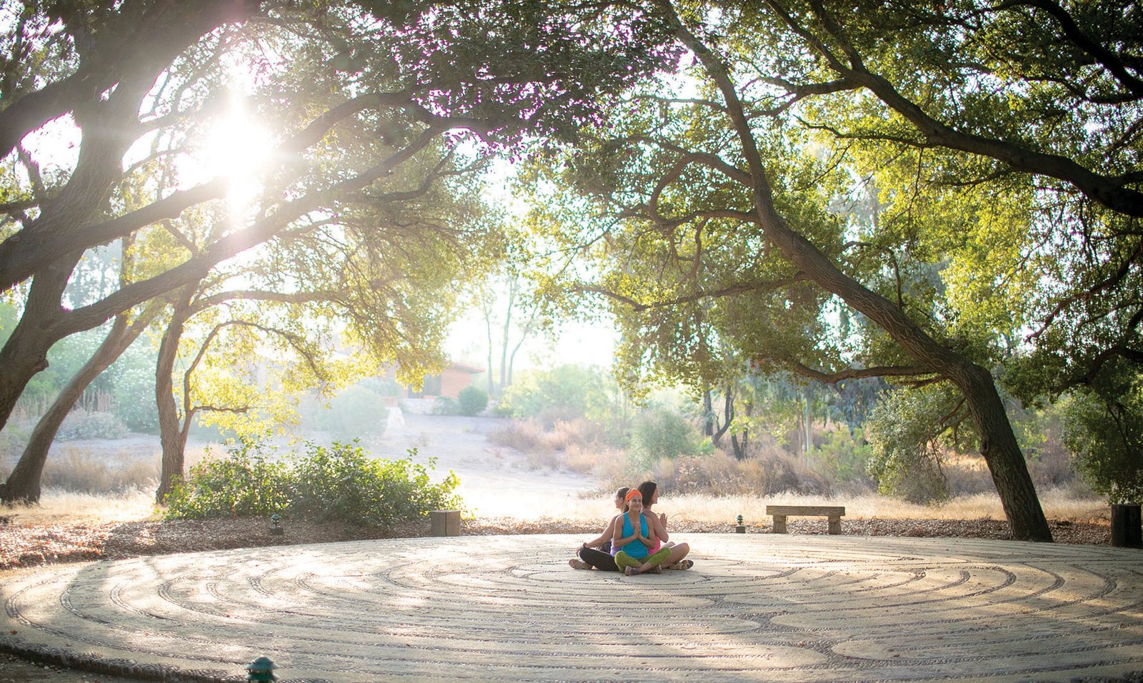 Boda en Rancho La Puerta, Tecate