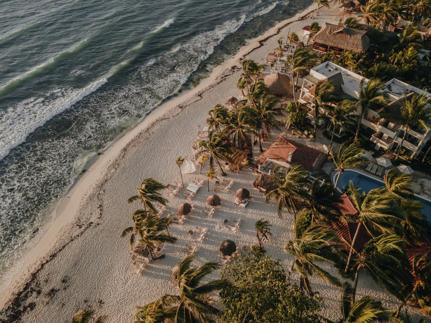 Boda en Petit Laffite Beach Front Hotel & Bungalows, Playa del Carmen, Quintana Roo