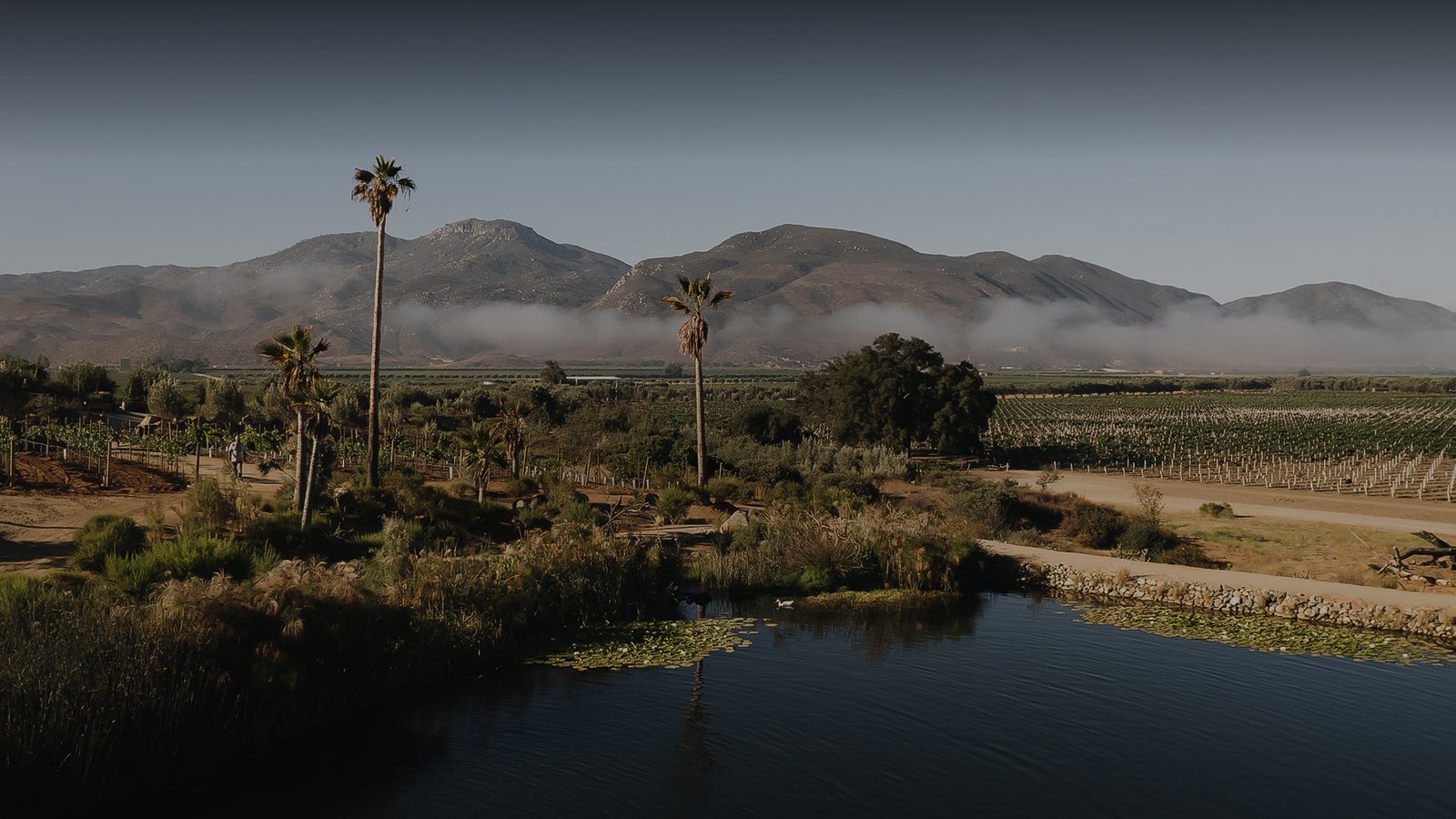 Bruma — salón para eventos, Valle de Guadalupe