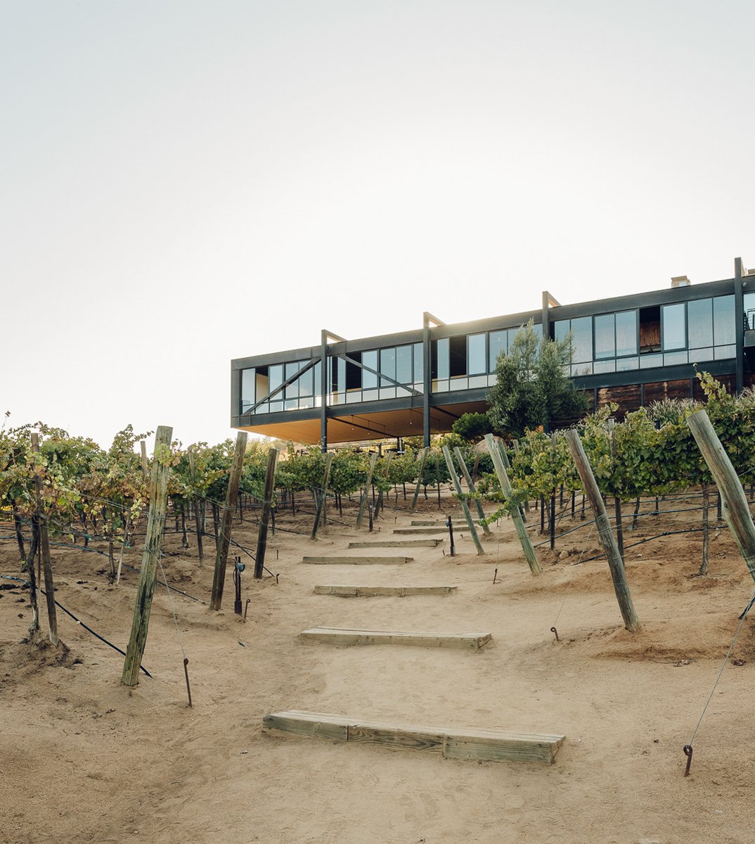 Espacios para bodas en Encuentro Guadalupe — Valle de Guadalupe, Baja California