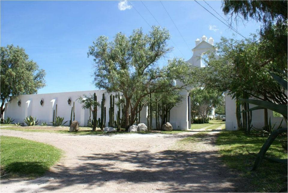 Boda en Bodega Dos Búhos, San Miguel de Allende, Guanajuato