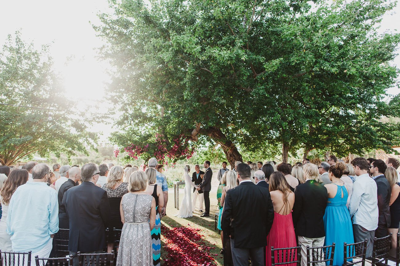 Vista del venue Flora Farms en San José del Cabo