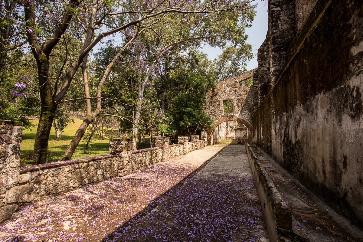 Espacios para bodas en Hacienda San Juan Bautista Amalucan — Puebla, Puebla