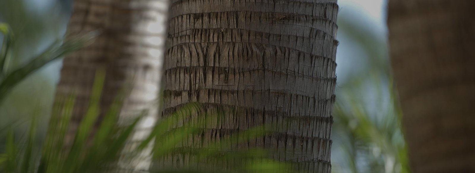 Espacios para bodas en Blue Diamond Luxury Boutique Hotel — Playa del Carmen, Quintana Roo