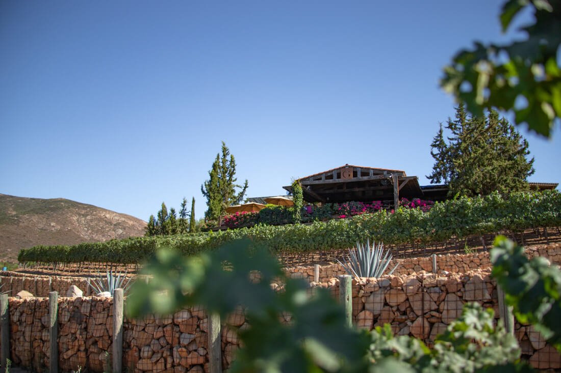 Boda en Viñas de Garza, Valle de Guadalupe, Baja California
