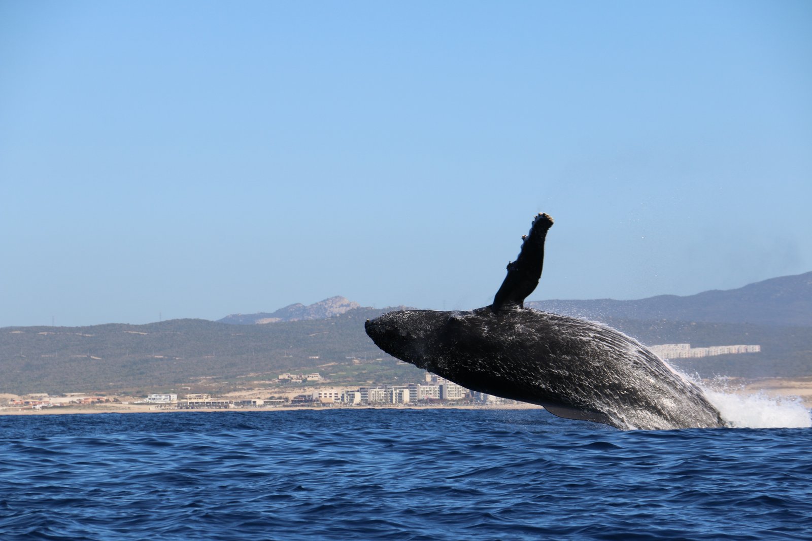 Vista del venue Grand Velas Boutique en Cabo San Lucas