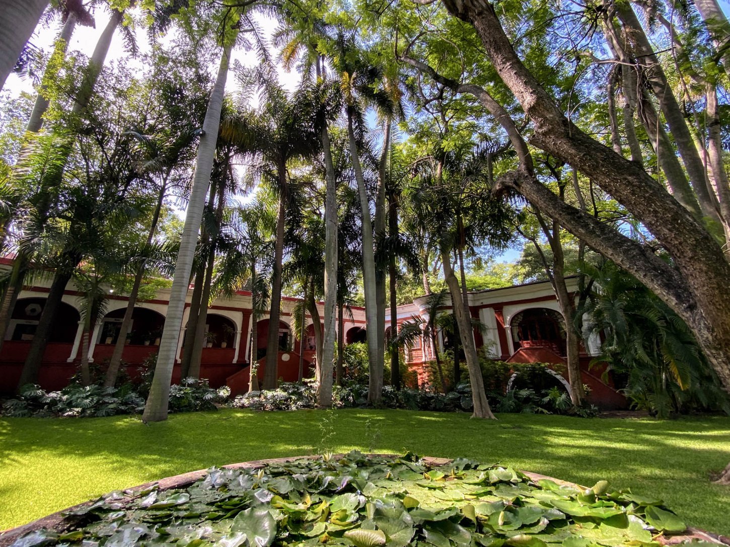 Vista del venue Hacienda De Teresa y Polignac en Los Arcos