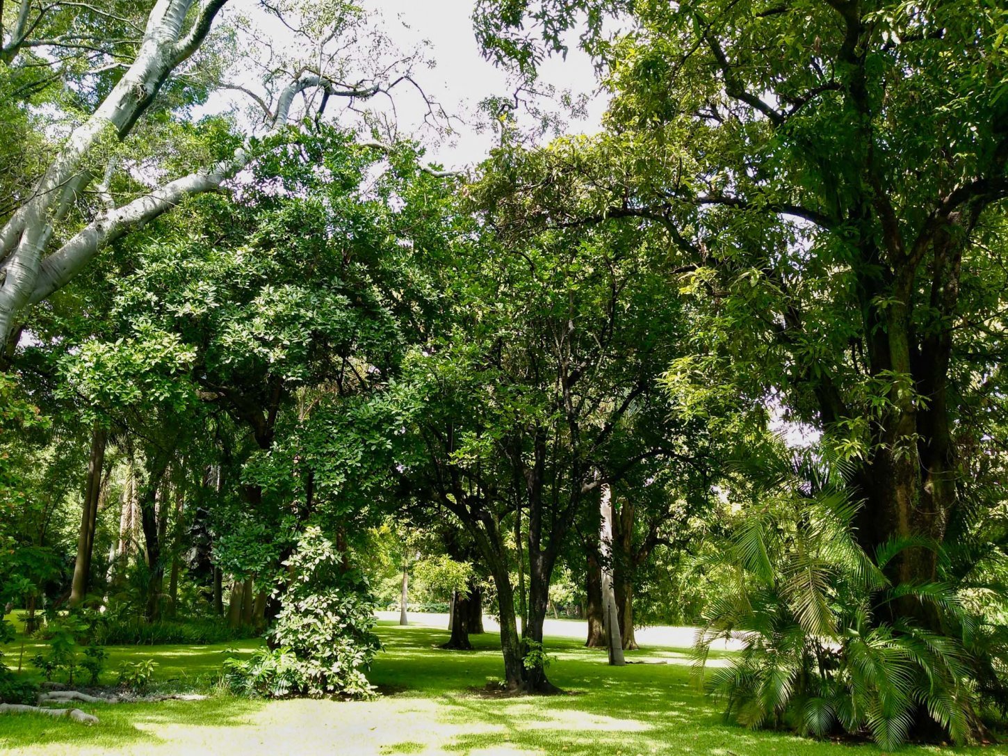 Áreas de celebración en Hacienda De Teresa y Polignac, Los Arcos, Morelos