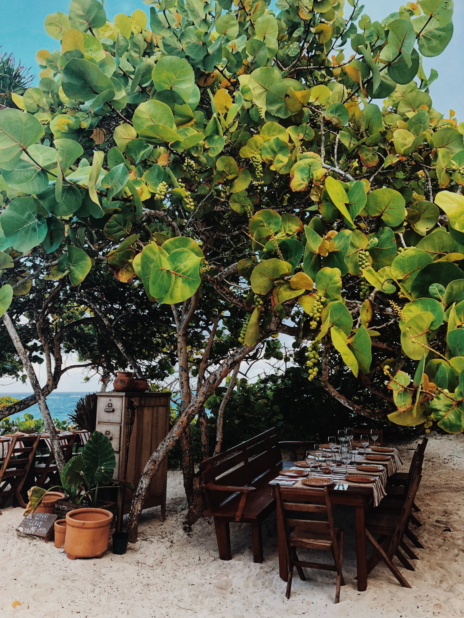 Boda en LOYAL ORDER, Tulum, Quintana Roo